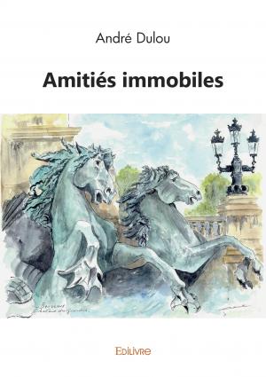 Amities-immobiles.jpg